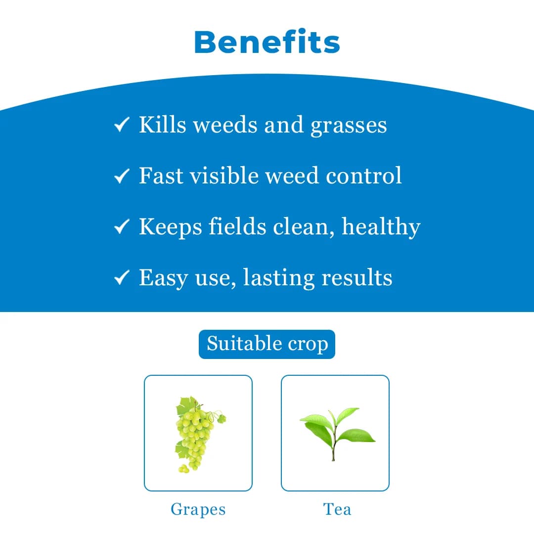 BACF Mox Paraquat Dichloride 24% SL Herbicide , Target To Grassy And Broadleaved weeds and other weeds pests - Image 4