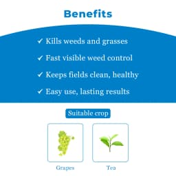 BACF Mox Paraquat Dichloride 24% SL Herbicide , Target To Grassy And Broadleaved weeds and other weeds pests 4