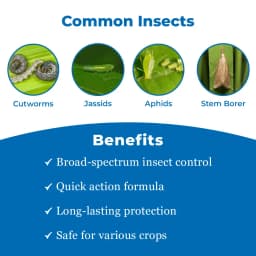Shree Industries Kaizen Chlorpyriphos 50% EC Insecticide, Contact, Stomach and Fumigation Against Broad Spectrum of Pests and Beetles 3