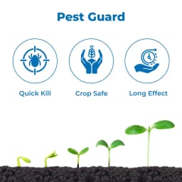 BACF Cudgel Insecticide - Chlorpyrifos 50% EC 3