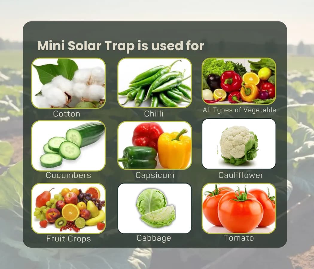 Chipku Mini Solar Insect Trap For Agriculture With UV Light, Solar Light Trap For Agriculture Insects Pests With 6 Months Warranty - Image 11