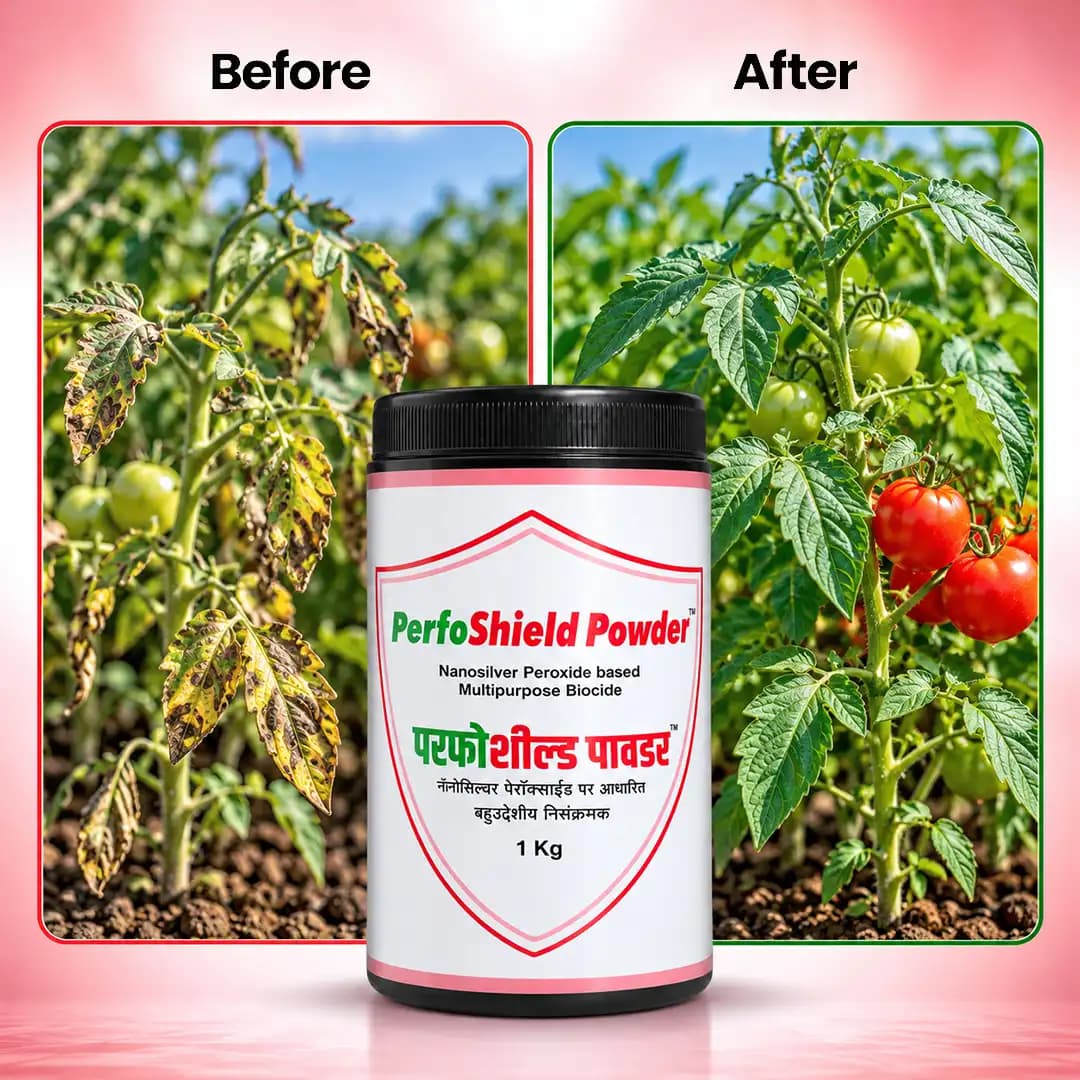 Agreo Perfoshield Powder, Nano Silver Peroxide Based Multipurpose Biocide, Hydrogen Peroxide 25%, Nano Silver (150 ppm) & Stabilizers - Image 4
