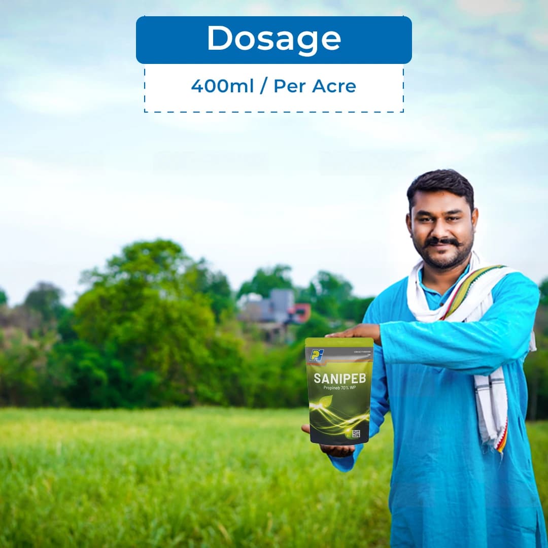 पीआई सनीपेब प्रोपिनेब 70% डब्ल्यूपी, निवारक फफूंदनाशक, संपर्क फफूंदनाशक, डाउनी मिल्ड्यू, अर्ली और झुलसा, पपड़ी रोग जैसे फफूंदी को नियंत्रित करता है - Image 5