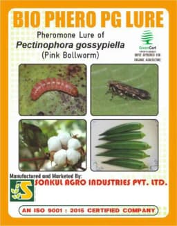 Sonkul Agro Industries Combo Pack of BIO PHERO PG Pectinophora gossypiella (Pink Bollworm) Lure & Funnel Trap for Cotton 2