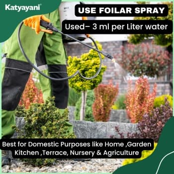 कात्यायनी मेटारहिजियम एनीसोप्लिए जैव कीटनाशक (पाउडर), टैल्कम आधारित पाउडर निर्माण, प्रभावी कीट नियंत्रण के लिए - Image 7