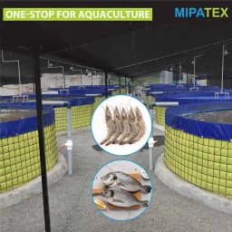 मिपाटेक्स पीवीसी तिरपाल, बायोफ्लोक मछली टैंक (नीला रंग), व्यावसायिक उद्देश्य के लिए। 4