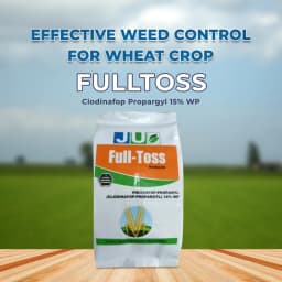 Ju Fulltoss Clodinafop propargyl 15% WP , Post- Emergent Selective Herbicide 2