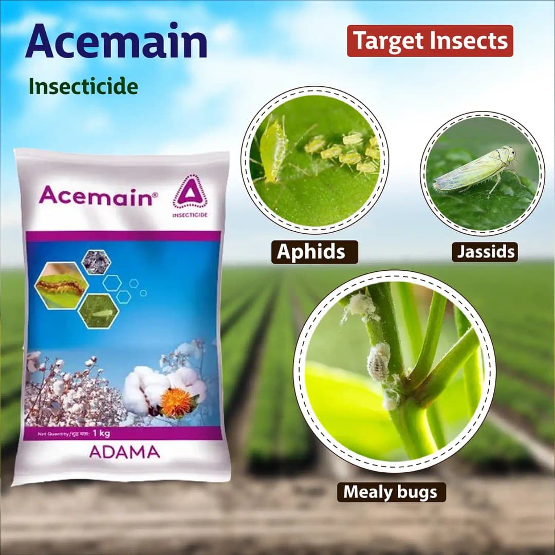 Adama Acemain Acephate 75% SP, For Effective Control Of Wide Range Of Chewing And Sucking Pest - Image 6