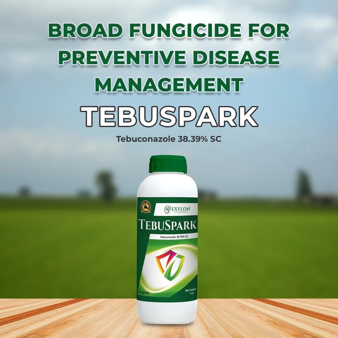 Exylon Tebuspark Fungicide - Tebuconazole 38.39% SC - Image 2