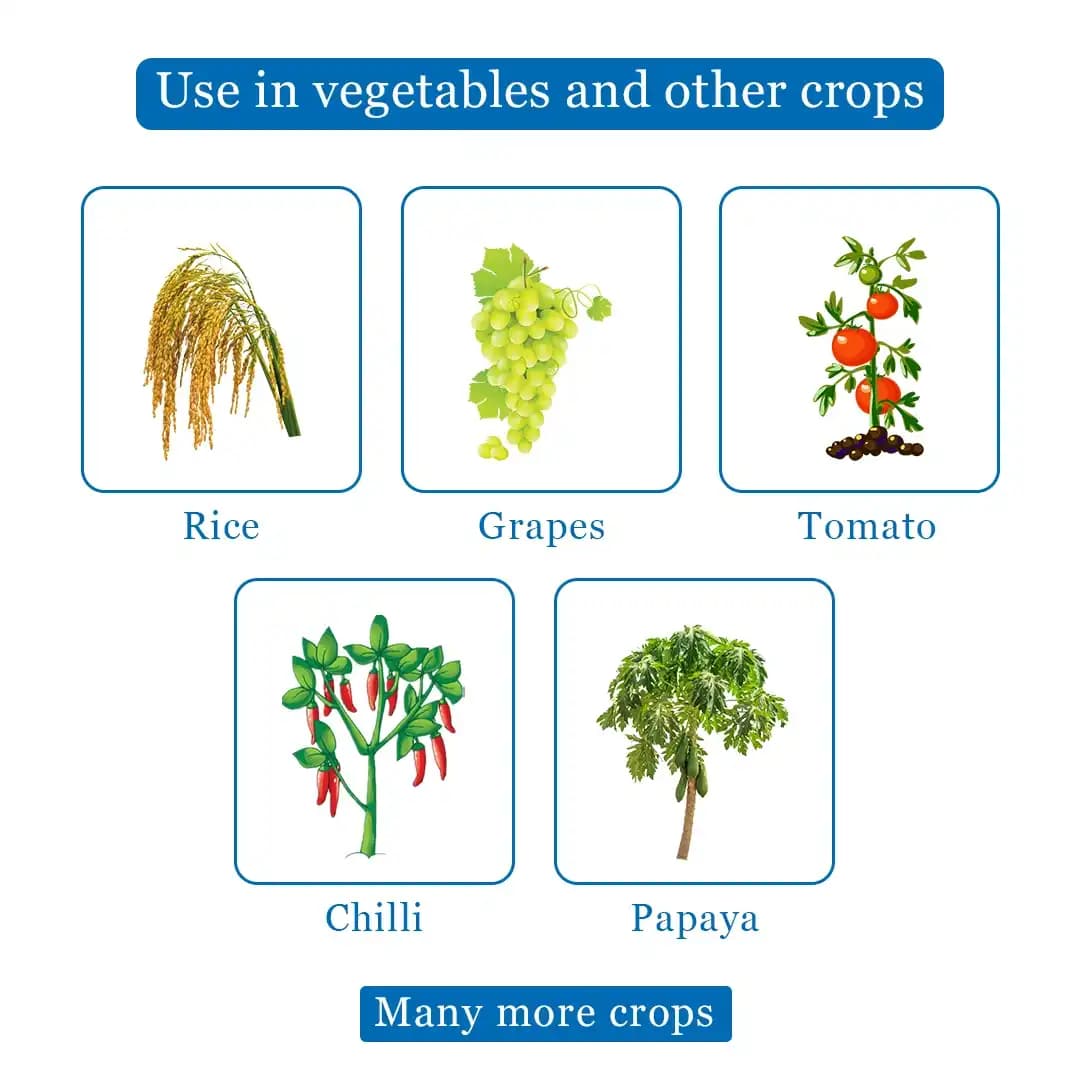 Mahindra Summit Difenso Thiophanate Methyl 70% WP, Broad Spectrum Systemic Fungicide - Image 4