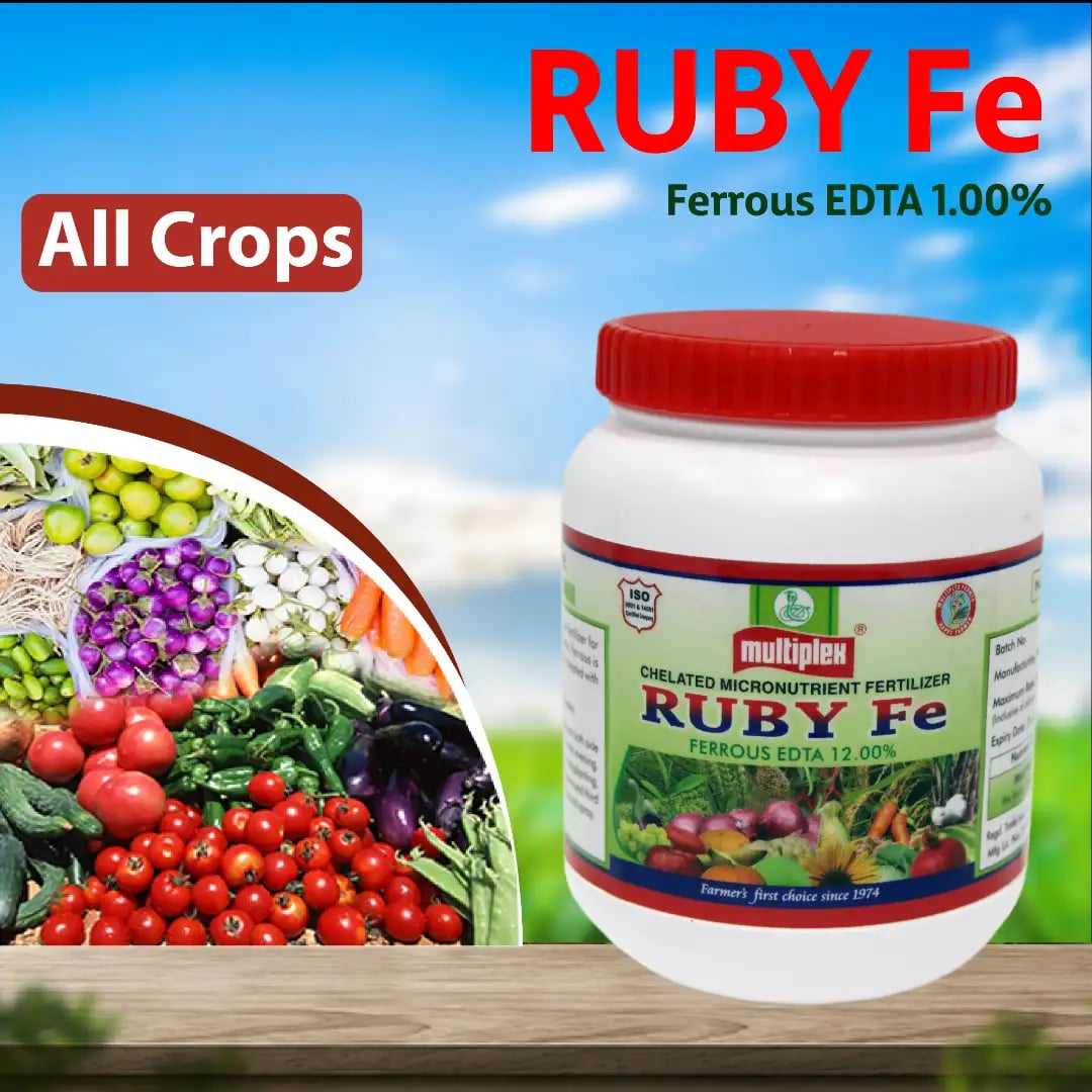 Multiplex Ruby Fe Ferrous EDTA 12% Chelated Micronutrient Fertilizer, High Quality Iron For All Crop