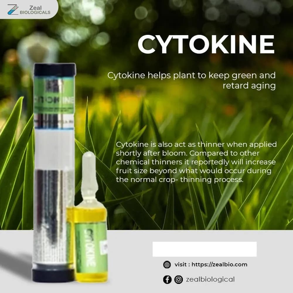 Zeal Biological CYTOKINE Growth Stimulant, Promotes Overall Plant Health And Resilience, Reducing Damage From Environmental Stress - Image 6