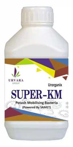 Super KM - Potassium Mobilizing Bacteria (PSB) for potassium solubilization in soil and freeing up potassium for easy absorption 2