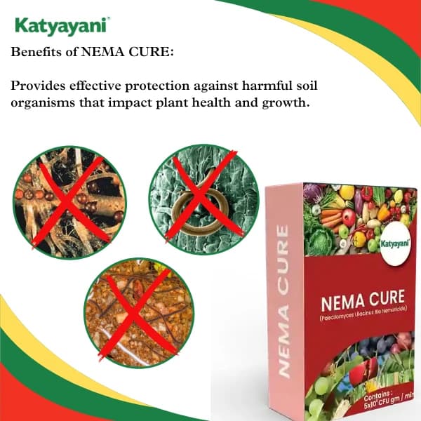 Katyayani Nema Cure Paecilomyces Lilacinus Bio Fungicide Powder Advanced Biological Fungicide For Nematode Control and Improved Soil Health - Image 4