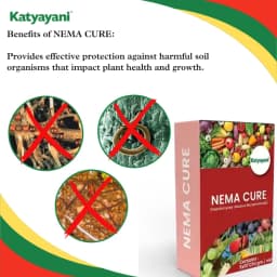 Katyayani Nema Cure Paecilomyces Lilacinus Bio Fungicide Powder Advanced Biological Fungicide For Nematode Control and Improved Soil Health 4