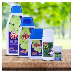 Hifield Sumo Forchlorfenuron 0.01% Plant Growth Regulator, Use for Grapes and Berries 4