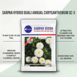 सरपन बिजली एससी-3, सफेद हाइब्रिड बिजली, अधिक उपज देने वाली, सभी मौसमों के लिए 1