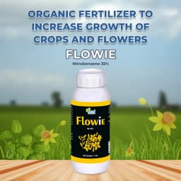 Flowie - Nitrobenzene 35% Flowering Stimulant and Organic Fertilizer to Enhance Root Growth, Water Holding Capacity, and Reduce Soil Erosion 2