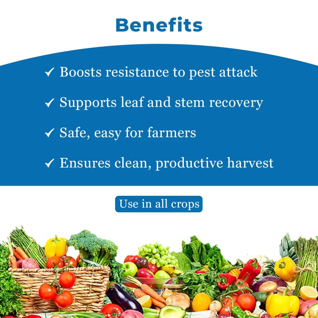 सुरक्षा किट - लार्वा नियंत्रण विकास चरण के लिए पहले 40-45 दिन (एफ-ज़ोन 250 एमएल + स्टार वन 250 एमएल + स्प्रिंग एवर 1 लीटर + एनबी-80 250 एमएल) - Image 4