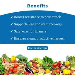 Suraksha Kit for Larva Control at Growth Stage First 40-45 days (F-Zone 250 ML + Star One 250 ML + Spring Ever 1 Ltr + NB 80 250 ML) 4