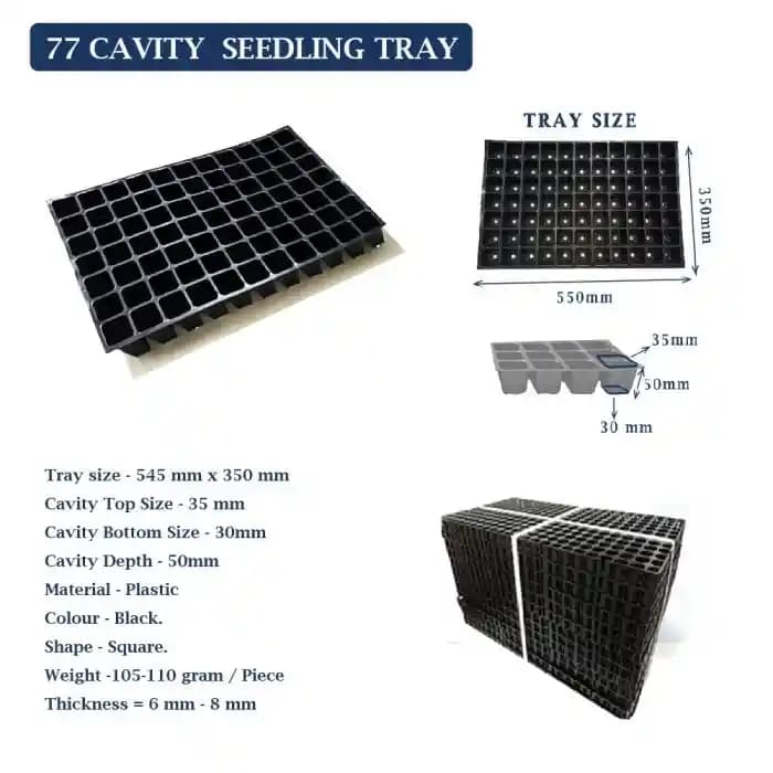 Shivsuraj 77 Cavity Seedling Tray, Square Shape Hole Germination Tray, Nursery Tray For Sowing Seeds - Image 10