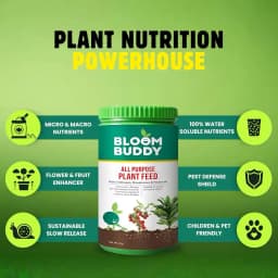 BloomBuddy All Purpose Plant Feed Granules, Organic Slow-Release Fertilizer with NPK & Micronutrients 6