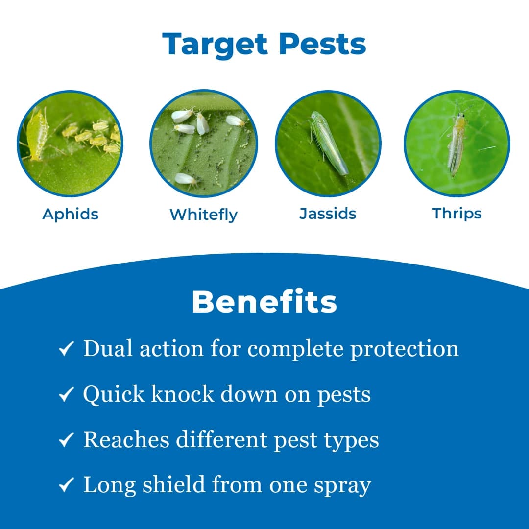 EBS Thioshield Insecticide - Image 4