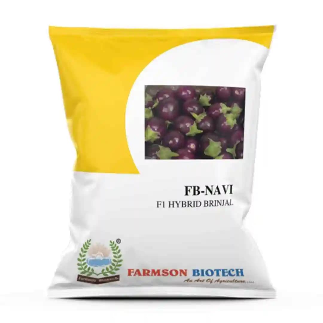 Farmson FB-Navi F1 Hybrid Brinjal Seeds, Egg Plant Seeds, Semi Erect Plant. - Image 1