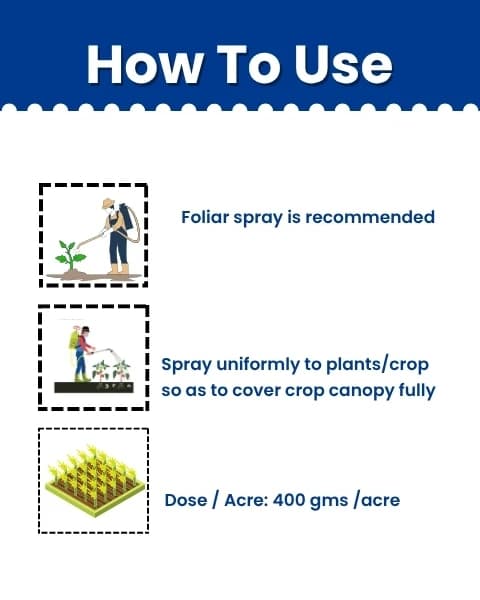 Katyayani Copper More - Copper Sulphate Fungicide - Image 4
