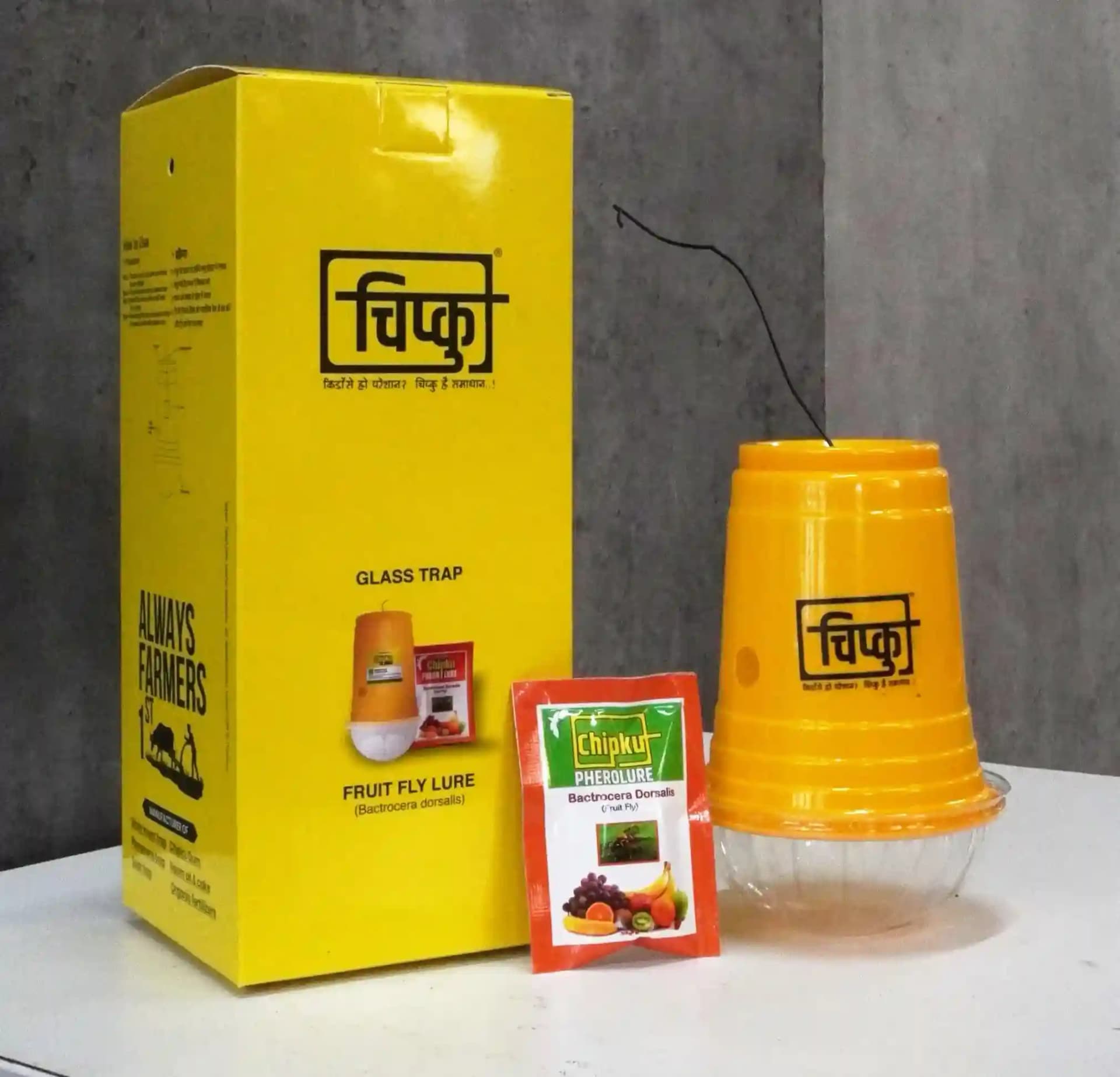 Chipku - Pheromone Glass Trap with Fruit Fly Lure (Bactrocera Dorsalis) For Papaya, Banana, Bitter Melon, Citrus, Coffee, Guava, Peppers, Mango - Image 3
