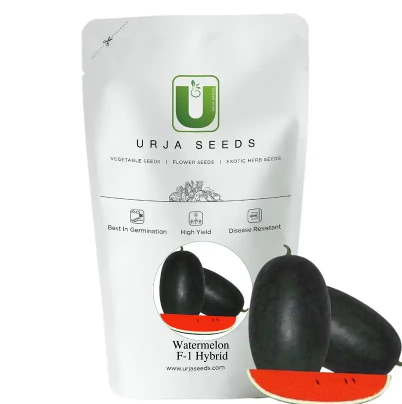 Urja US 20011 F1 Hybrid Watermelon Seeds, Oblong Shape and Dark Green In Color