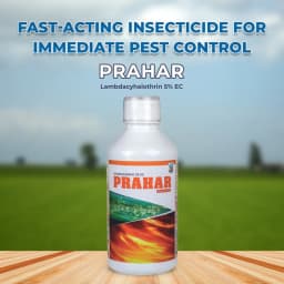 PRAHAR - Lambda Cyhalothrin 5% EC For Controls Sucking and Lepidopteron Pests in Various Crops. 2
