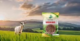 Sri Sai Forestry Barseem Grass Seeds For Goat, Barseem Seed For Cattle, Multi Cut Grass Seeds 5