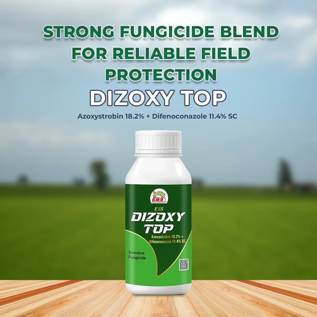 EBS Dizoxy Top Azoxystrobin 18.2% + Difenoconazole 11.4% SC Dual Systemic Fungicide - Image 2