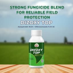 EBS Dizoxy Top Azoxystrobin 18.2% + Difenoconazole 11.4% SC Dual Systemic Fungicide 2