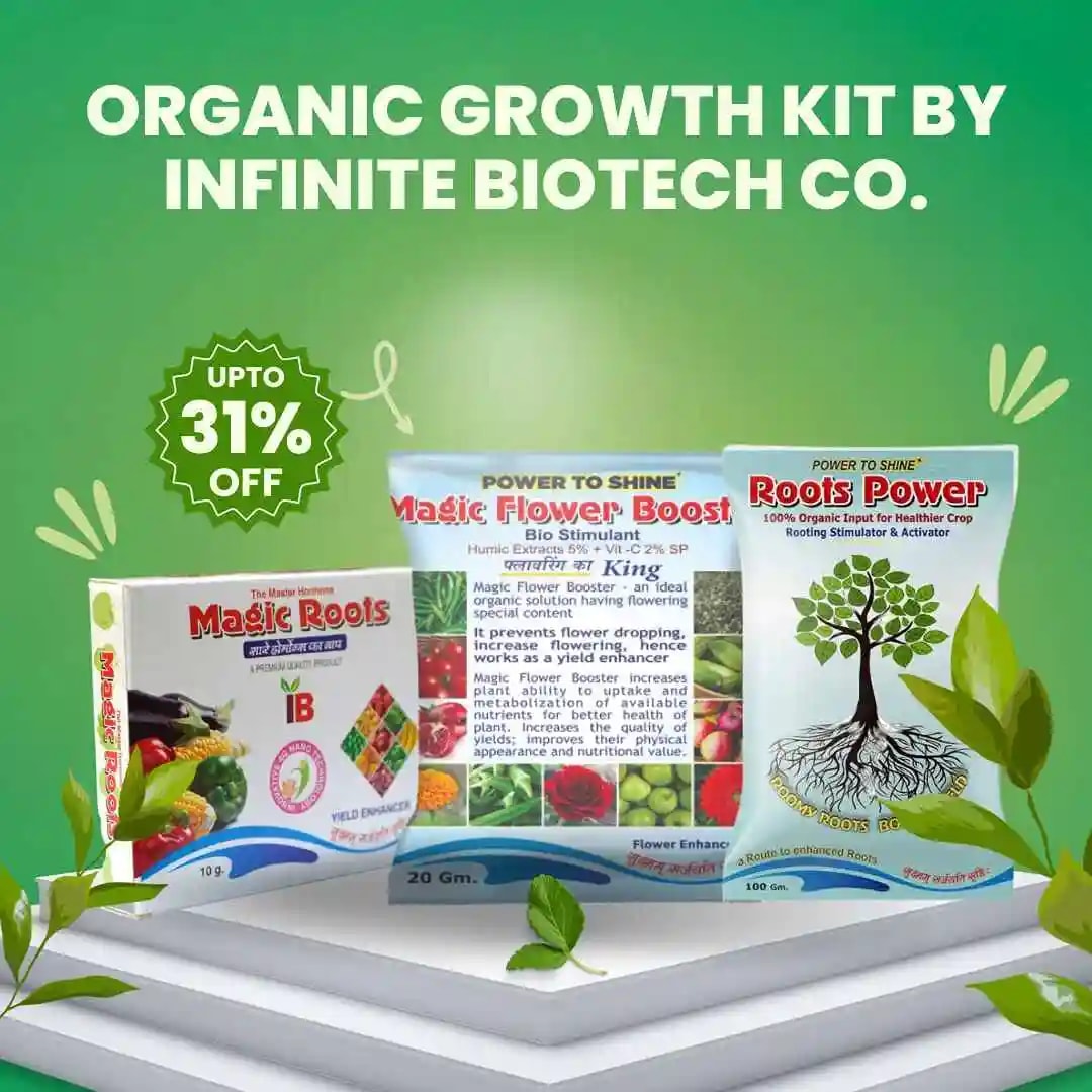 Organic Growth Kit (Magic Roots 10 Gm Nano PGR + Magic Flower Booster 20 Gm Nano Flowering Stimulant + Roots Power 200 Gm Rooting Hormone)