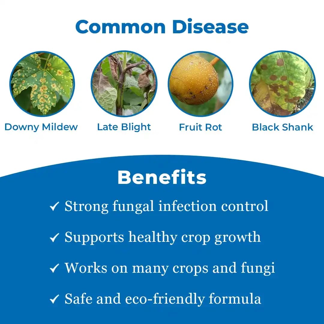 रेन मेटल 72 - मेटालैक्सिल 8% + मैन्कोज़ेब 64% डब्लूपी फफूंदनाशक, डाउनी मिल्ड्यू, लेट ब्लाइट, व्हाइट रस्ट, डैम्पिंग ऑफ, लीफ ब्लाइट के विरुद्ध उपयोगी। - Image 3