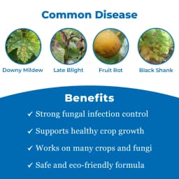 रेन मेटल 72 - मेटालैक्सिल 8% + मैन्कोज़ेब 64% डब्लूपी फफूंदनाशक, डाउनी मिल्ड्यू, लेट ब्लाइट, व्हाइट रस्ट, डैम्पिंग ऑफ, लीफ ब्लाइट के विरुद्ध उपयोगी। 3