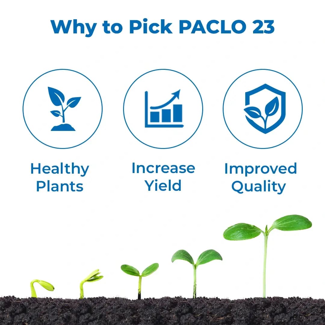 EBS Paclo-23 Plant Growth Regulator - Image 3