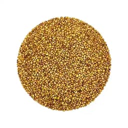 SK ORGANIC Clover Seeds (Barseem Seeds) For Microgreens Sprouting and Cultivation (Multicut Grass) 3