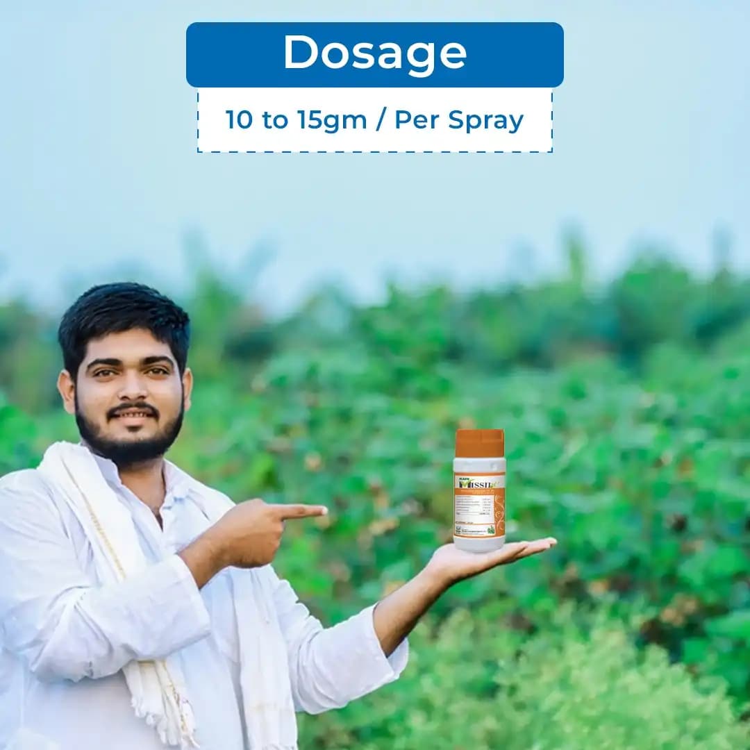 Rain Missile Insecticide - Image 5