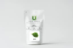 Urja Agriculture Methi, Fenugreek Seeds, Quick Growing Short 8 to 10 Inches Tall Plants 2