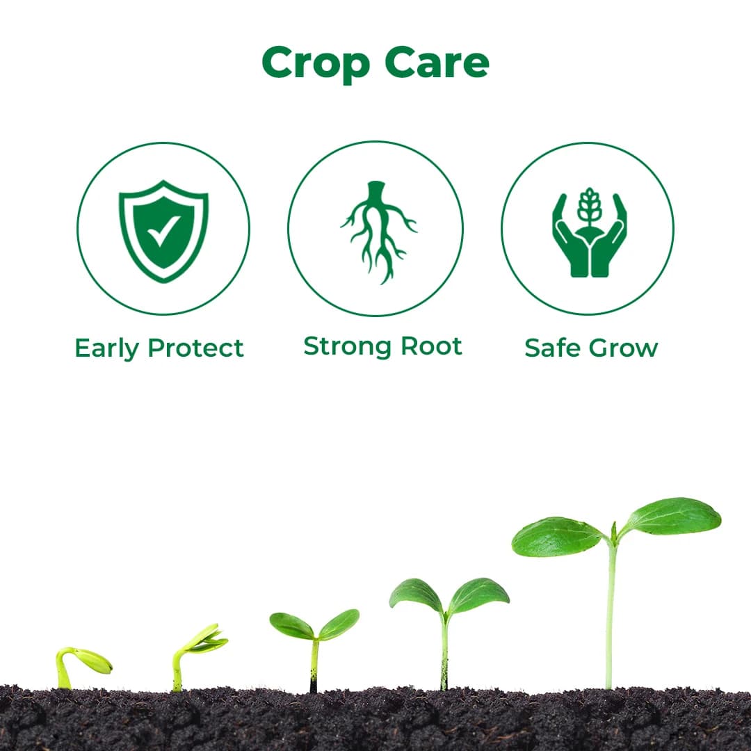 Crystal Monceren Pencycuron 22.9% SC, Non-Systemic Contact Fungicide, Used As Foliar Spray - Image 3