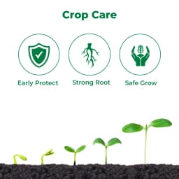 Crystal Monceren Pencycuron 22.9% SC, Non-Systemic Contact Fungicide, Used As Foliar Spray 3