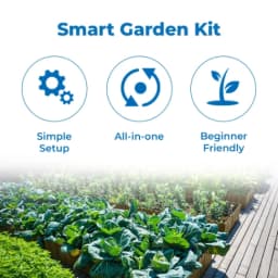 Pioneer VEGETABLE GARDENING KIT, Kitchen Garden Kit Perfect choice for Beginners with All Accessories 3