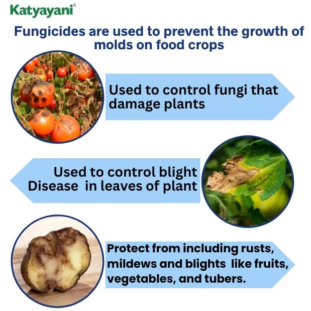 Katyayani Dr Blight Metalaxyl-M 3.3% + Chlorothalonil 33.1% SC Systemic and Contact Fungicide - Image 3