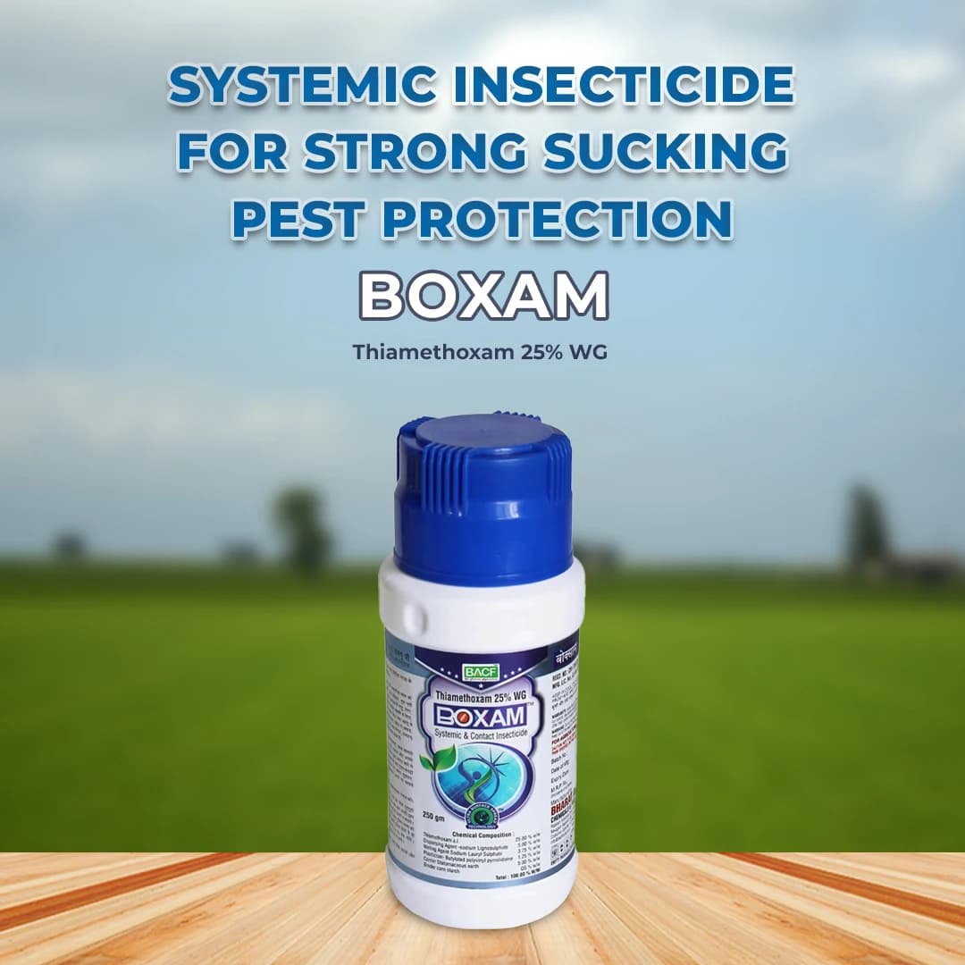 BACF BOXAM - Thiamethoxam 25% WG Insecticide, Systemic And Contact Insecticide - Image 2