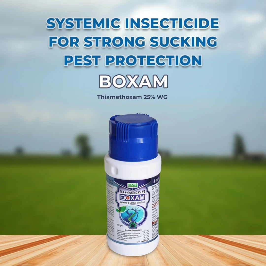 BACF Boxam Insecticide