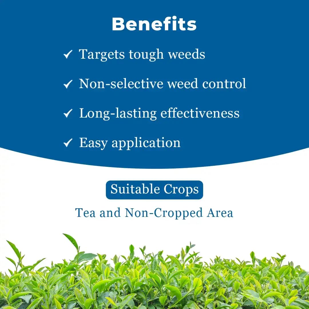 Bayer Roundup Herbicide - Image 4