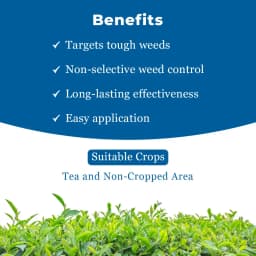 Bayer Monsanto Roundup Glyphosate 41% SL, For Killing all Weeds Non-Selective 4